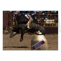 Bull rider hangs on for dear life cards by pshaw_photo Bull rider hangs on for dear life cards
