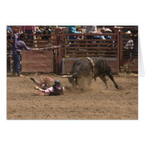 Bull rider meets angry bull cards by pshaw_photo Bull rider meets angry bull cards