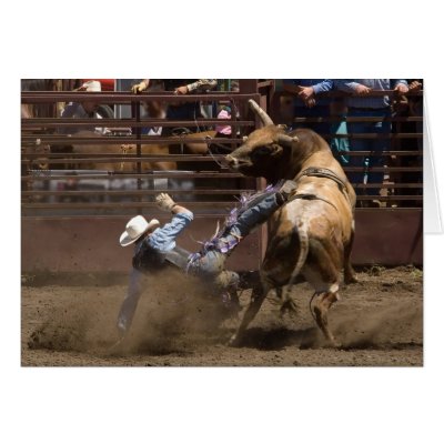 Bull rider takes a fall cards by pshaw_photo