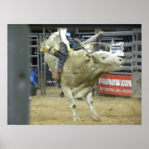 Bull Riding Action Print