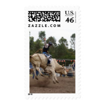 BULL RIDING BERT STAMPS