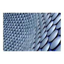 Bull Ring Poster by cARTerART posters