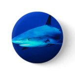 Bull Shark Buttons