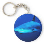 Bull Shark Keychains