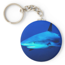 Bull Shark Keychains