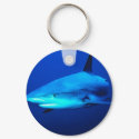 Bull Shark keychains