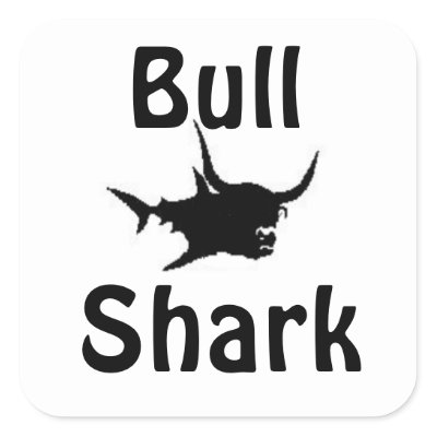 Cartoon Bull Shark