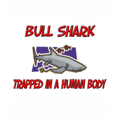 baby bull shark pictures. Please vist my gallery zazzle.com/animalshirts for more Bull Shark STAMPS, tshirts, mugs, hats and other Bull Shark trapped in a human body gifts.