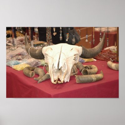 Bull Skull Posters by wolfmountainstudio