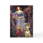 Bull Terrier 1 - Ophelia 1 Card