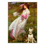 Bull Terrier 1 - Windflowers Greeting Cards