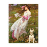 Bull Terrier 1 - Windflowers Post Cards