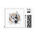 Bull Terrier (American) Busting Out - Customized postage by cartoondogs Bull Terrier (American) Busting Out - Customized postage