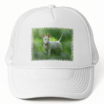 Bull Terrier Baseball Hat