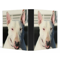 Bull Terrier binder
