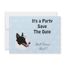 Bull Terrier ~ Blue w/ White Diamonds Design Announcement