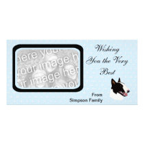 Bull Terrier ~ Blue w/ White Diamonds Design Photo Cards