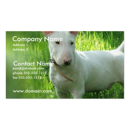 Bull Terrier Business Card (front side)