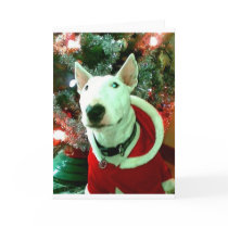 bull terrier christmas greeting cards