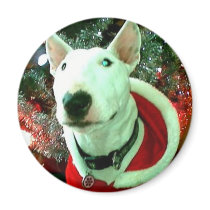 bull terrier christmas refrigerator magnets