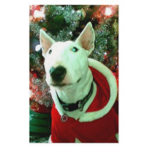 bull terrier christmas stationery