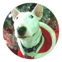 bull terrier christmas round sticker