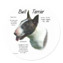 Bull Terrier (colored) History Design stickers by GreyWolfCreation Bull Terrier (colored) History Design stickers