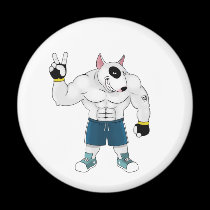 bull terrier dog  fight magnets