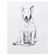Bull Terrier flyers