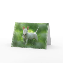 Bull Terrier Greeting Card
