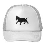 Bull Terrier Hat