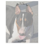 Bull Terrier Letterhead Design