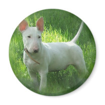 Bull Terrier Magnet
