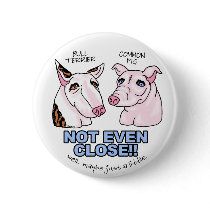 Bull Terrier NOT A Pig Button