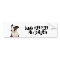 Bull Terrier on Board Bumper Stickers