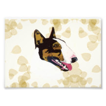 Bull Terrier Photograph