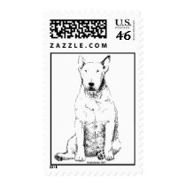 Bull Terrier Postage Stamps