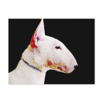 Bull Terrier Postcards