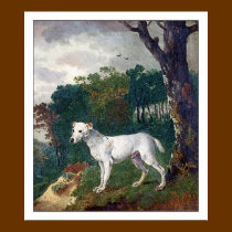 Bull Terrier Poster/Print - Bull Terrier Painting posters