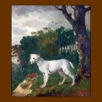 Bull Terrier Poster/Print - Bull Terrier Painting posters