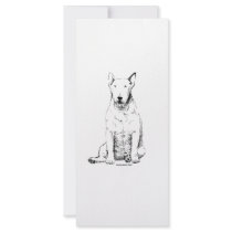 Bull Terrier rack cards