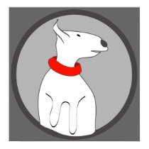 BULL TERRIER RED COLLAR PUPPY posters