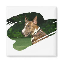 Bull Terrier Square Magnet