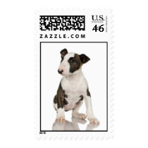Bull Terrier Stamp (MEDIUM)