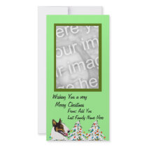 Bull Terriers are Awesome Customized Photo Card