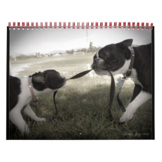 Bull Terriers calendar