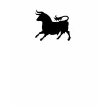 bull t-shirts