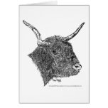 Bull with Horns Pen & Ink Drawing cards