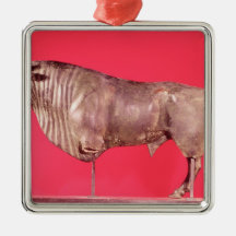 Bull with three horns, from Avrigney Ornament
