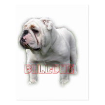 Bulldog  ブルドッグ post cards